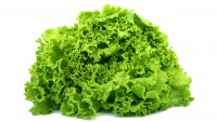 Alface Verde