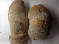 Pão de MIstura G